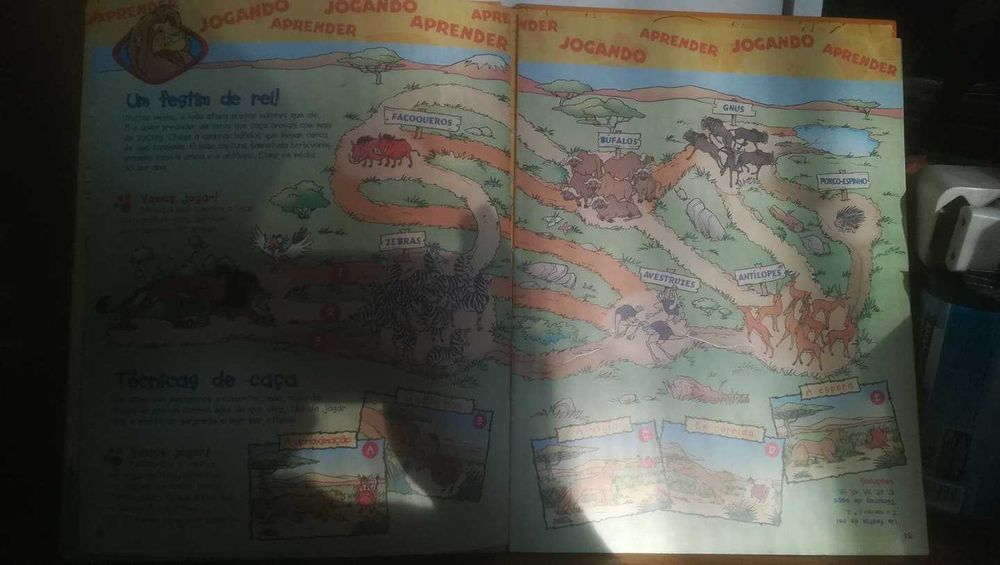 O mundo maravilhosos dos animais - Os Leões