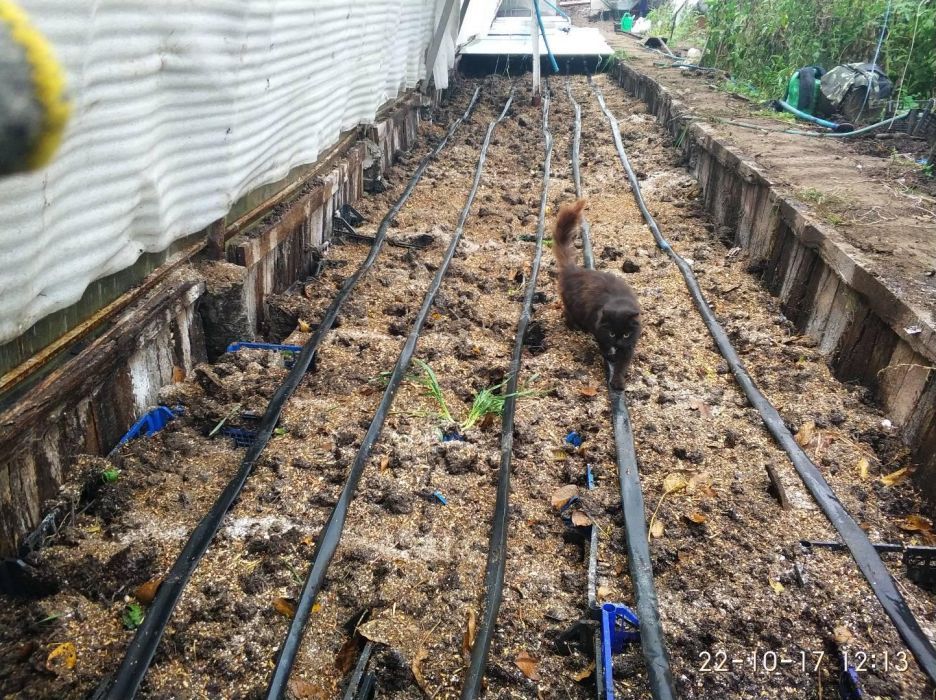 Хробаки для риболовлі та виробництва біогумусу