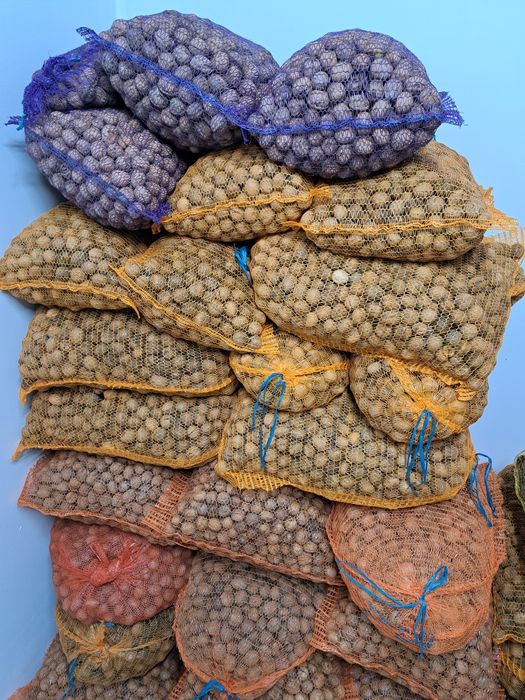 Orzechy wloskie  10 kgramow