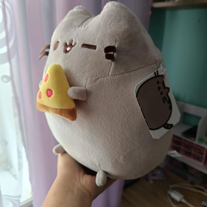 Pusheen z pizzą nowy