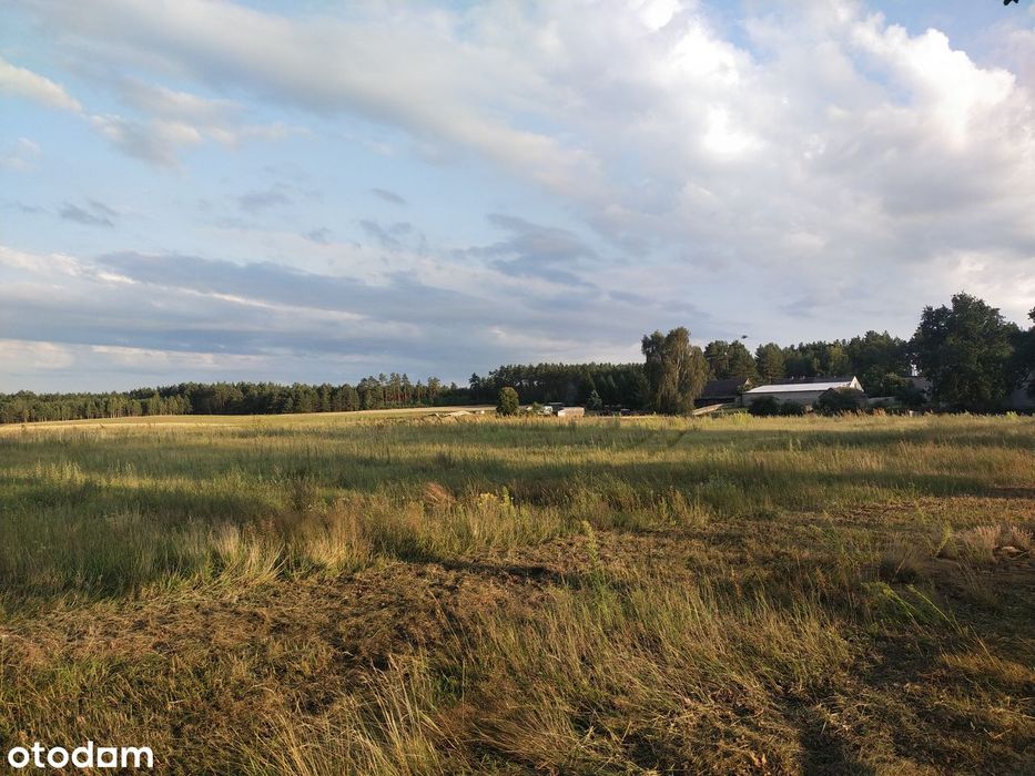 Duża działka 2700 m² z Warunkami Zabudowy . Tylko 37 zł za m2. Na wsi - Widok 2