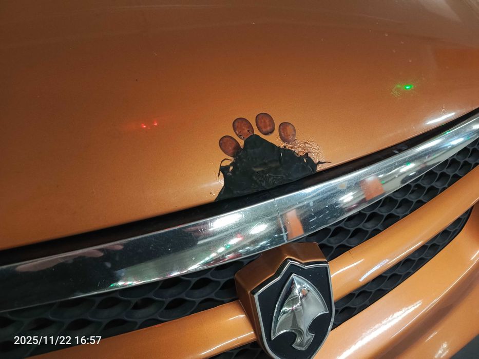 Chana Benni 2008 AT • 1.3 • Газ/Бензин • АКПП • 137 тис. км