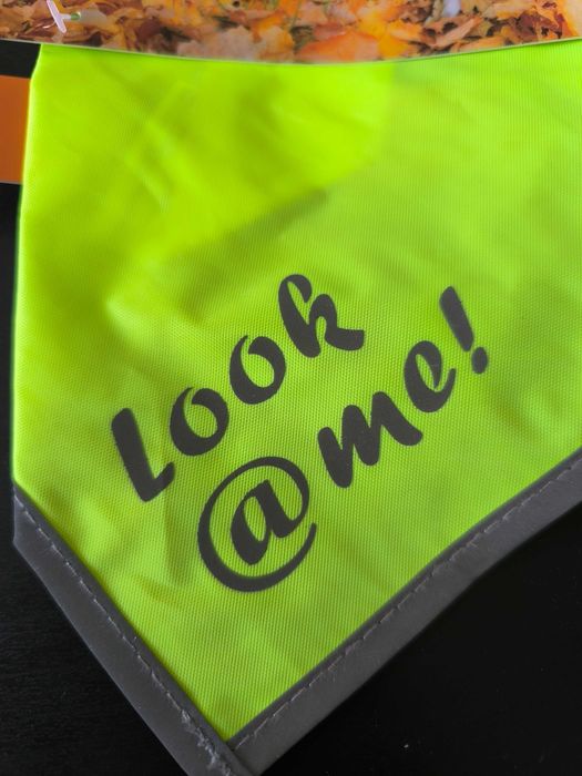 Bandana se segurança para cães