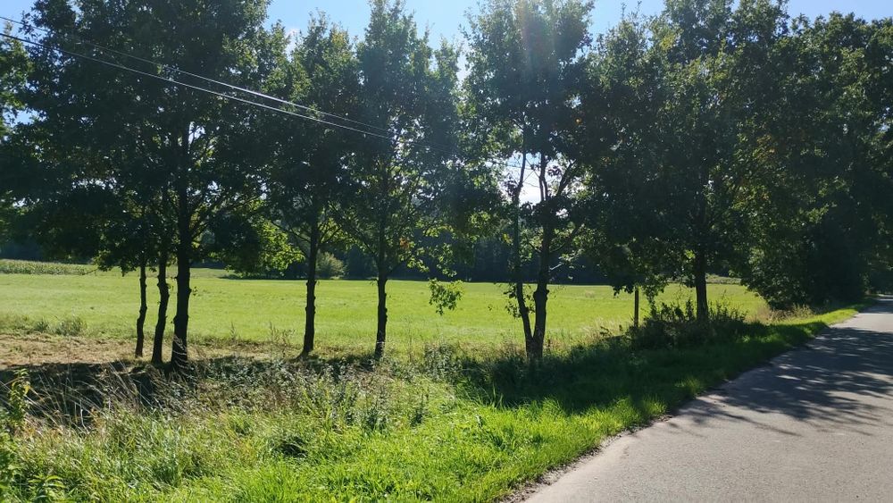 Działka rolna-  Ścinawka Dolna