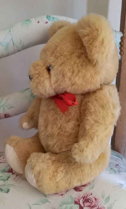 Urso de peluche como novo