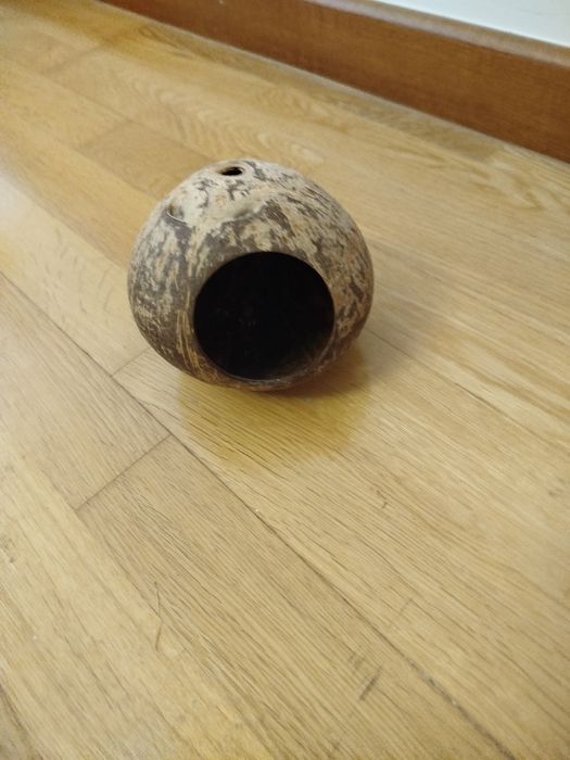 Artigos Diversos Hamster