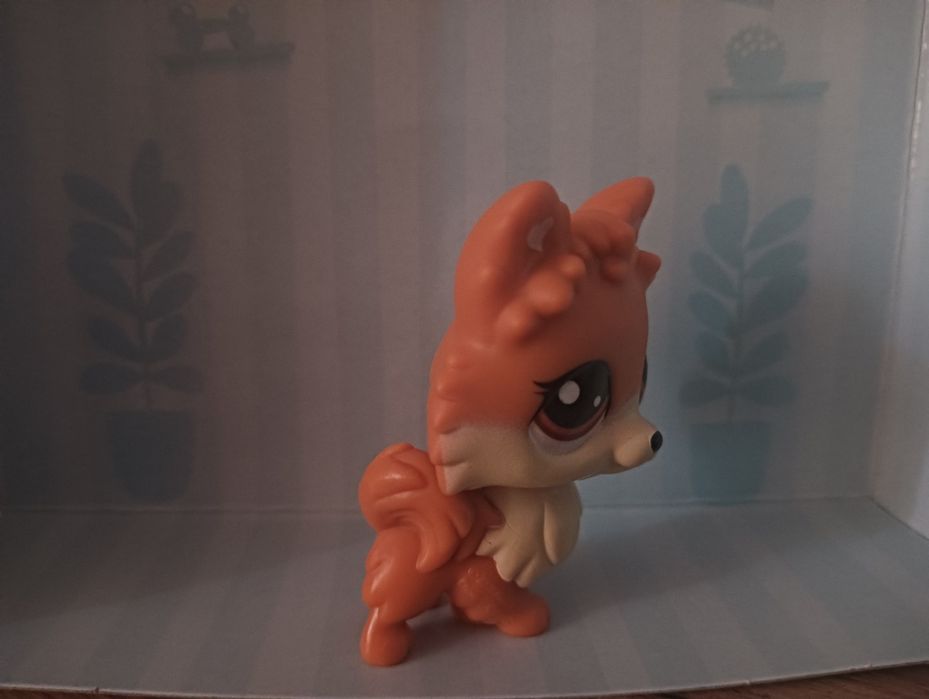 Pet shop little lps