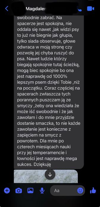 Trener Psów - Behawiorysta - Treningi indywidualne