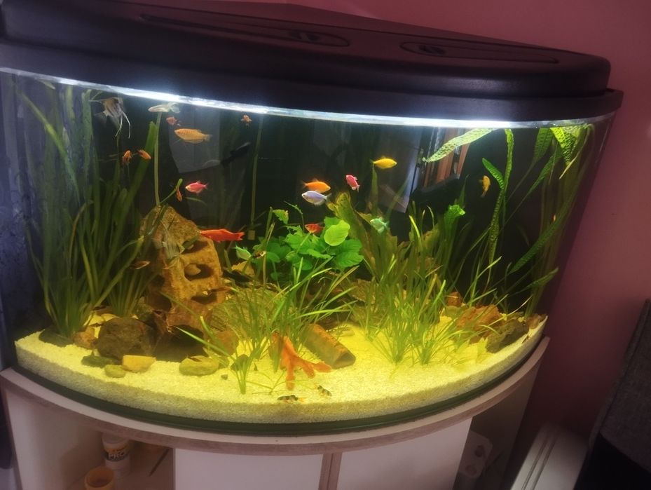 Akwarium 375 l bez wyposażenia