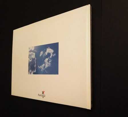 Francisco José Viegas - O Voo dos Anjos - Um Cântico Votivo