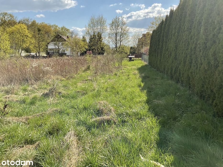 Działka budowlana 3000 m² w otoczeniu lasu