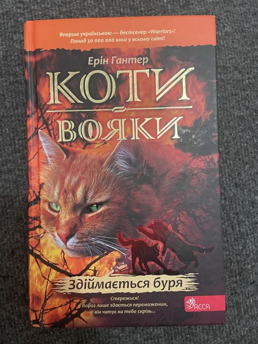 Здіймається буря Коти вояки Ерін Гантер Видавництво ACCA