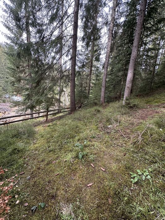 Земельна ділянка с.Яблуниця, переведена під будівництво!