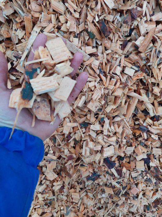 Zrębka drzewna, ogrodowa, opałowa, wędzarnicza