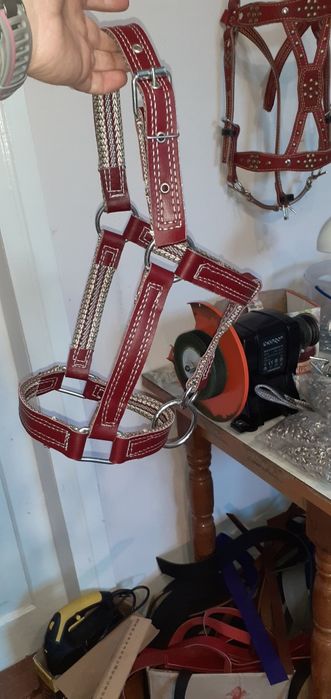 корове недоуздок кантар кантарка телёнку быку джерси голштын айширская