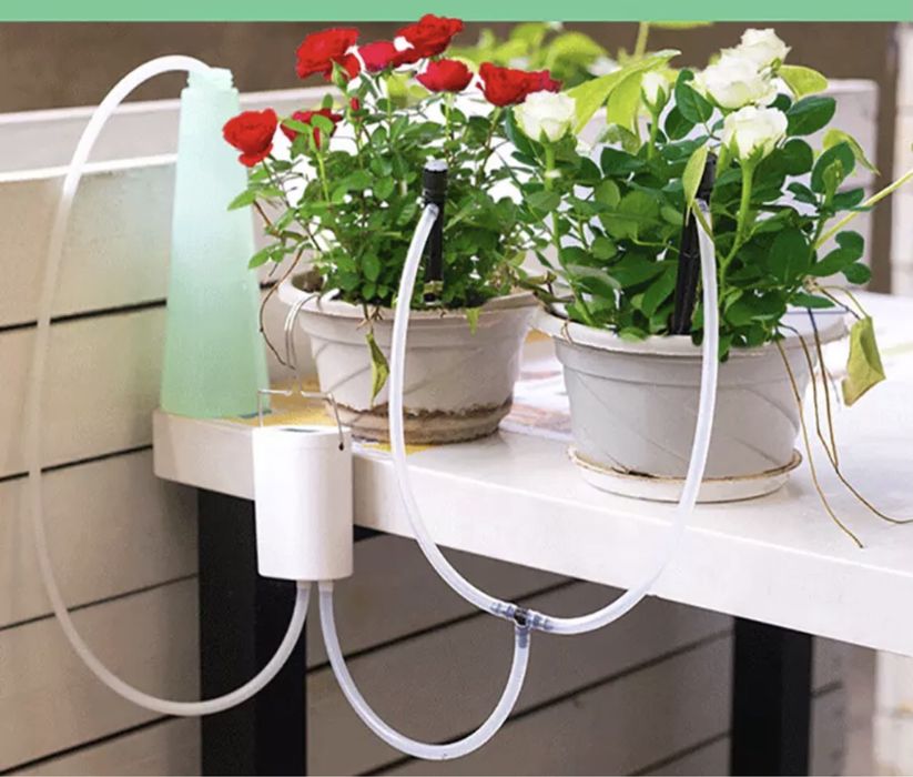 4. Підтримка здоров'я і краси рослин