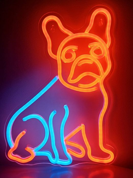 Nowy LED buldog Francuski