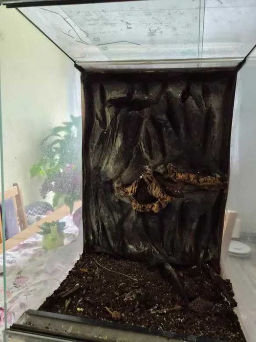 Terrarium dla gekona 40x40x60