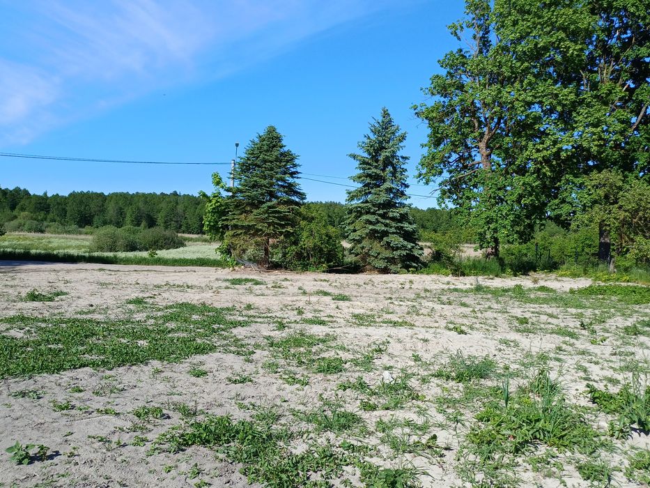 Działka budowlana 4300 m² na Mazurach – Przerwanki, blisko jeziora Gołdopiwo - Widok 2