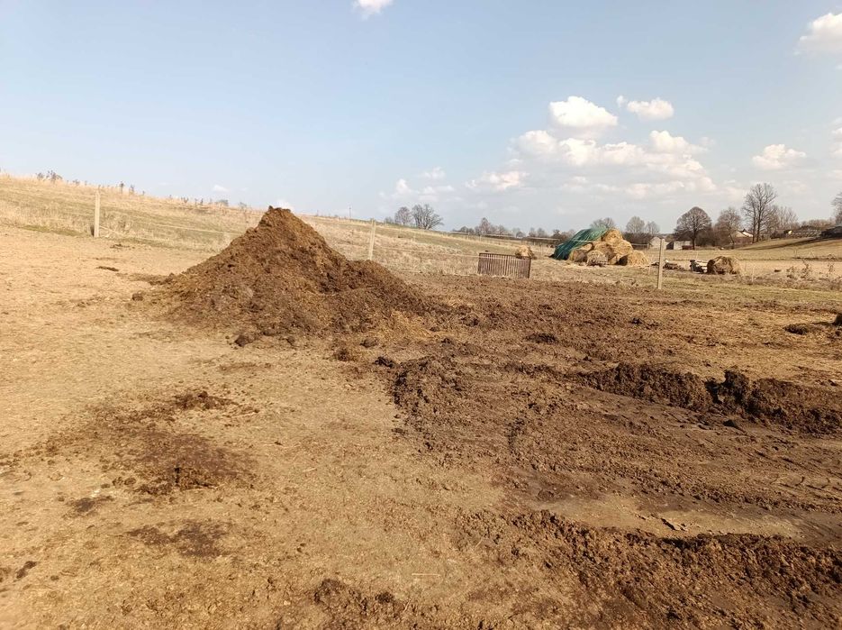 Oddam obornik koński, duża ilość