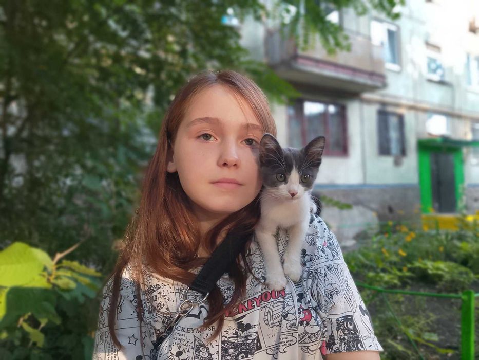 Вусатий друг! Кошеня у добрі руки!