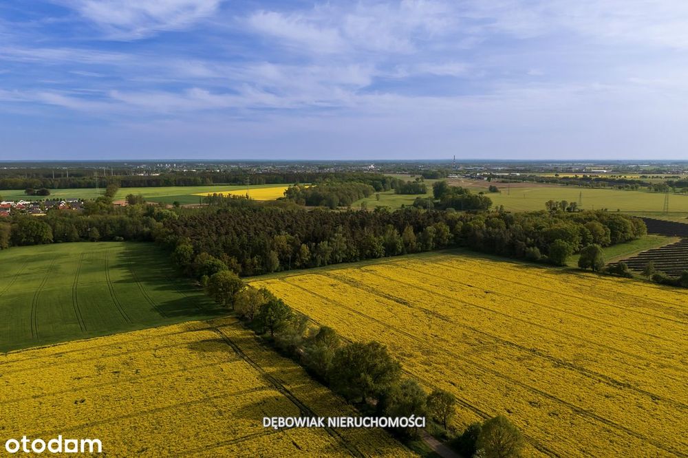 II etap sprzedaży / Atrakcyjne nowe osiedle w Gronówku / blisko Leszna