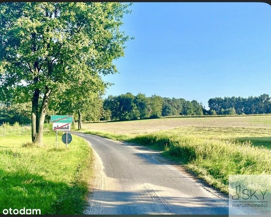 Działka budowlan 2640 m² – las, spokój, prywatność
