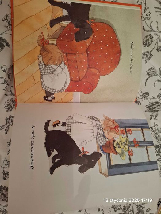 Książka "Piłka Eli" Catarina Kruusval