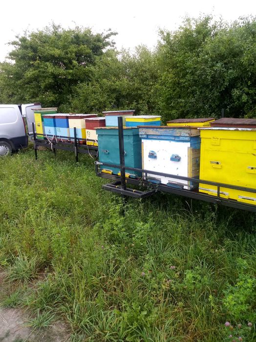 Продам причіп платформу із знімним модулем для перевезення вуликів