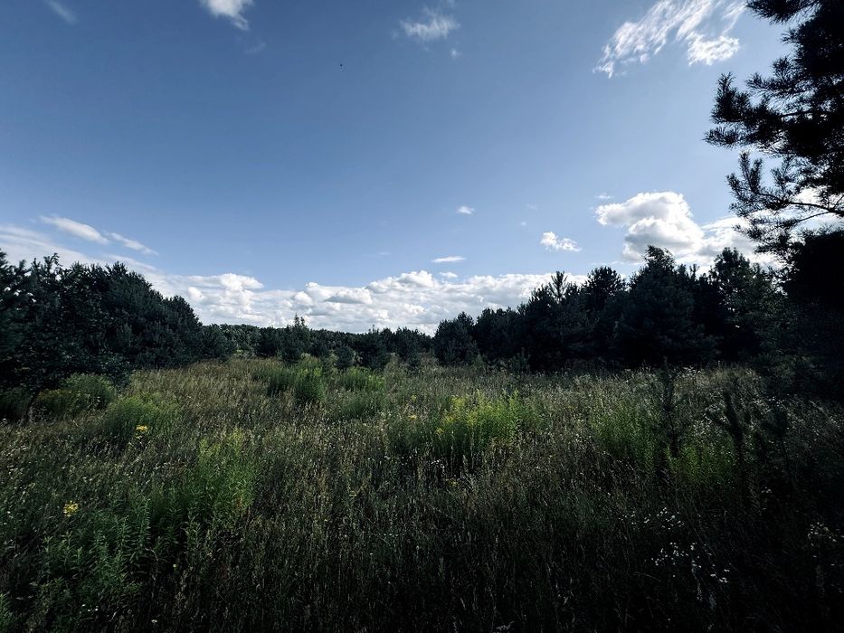 Продаж ексклюзивної ділянки в лісі  Руда-Красна