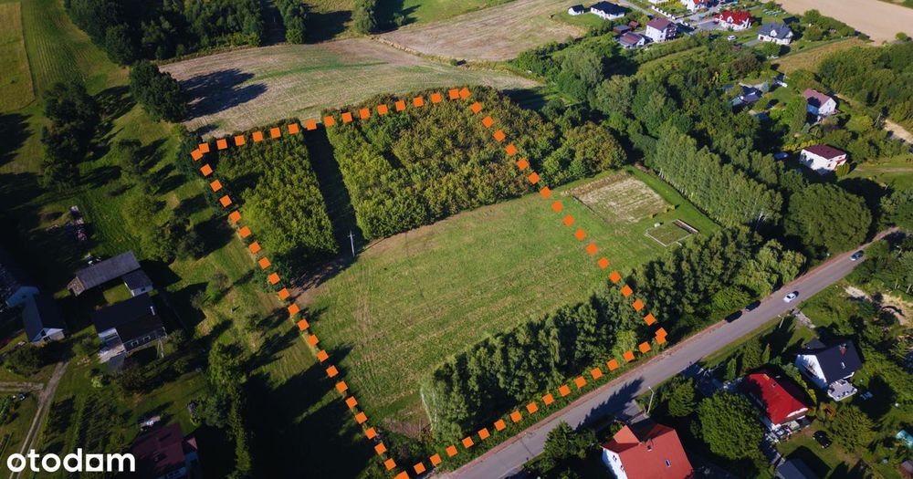 1,6 Ha Z Potencjałem - Inwestycja Lub Wyjątkowa Posiadłość