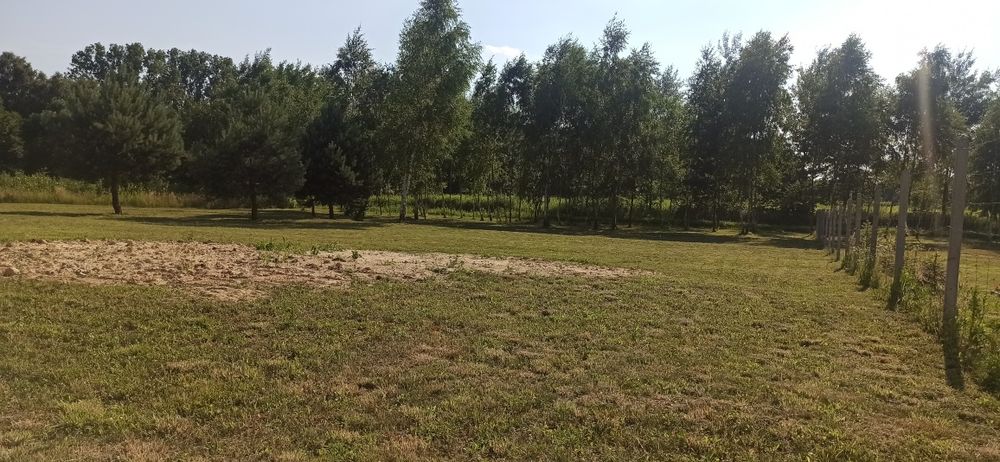 Działka z wydanymi WZ Rakszawa