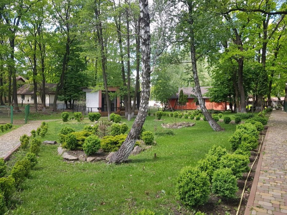 Продам земельну ділянку 3 га з озером с. Романків поруч Мануфактура