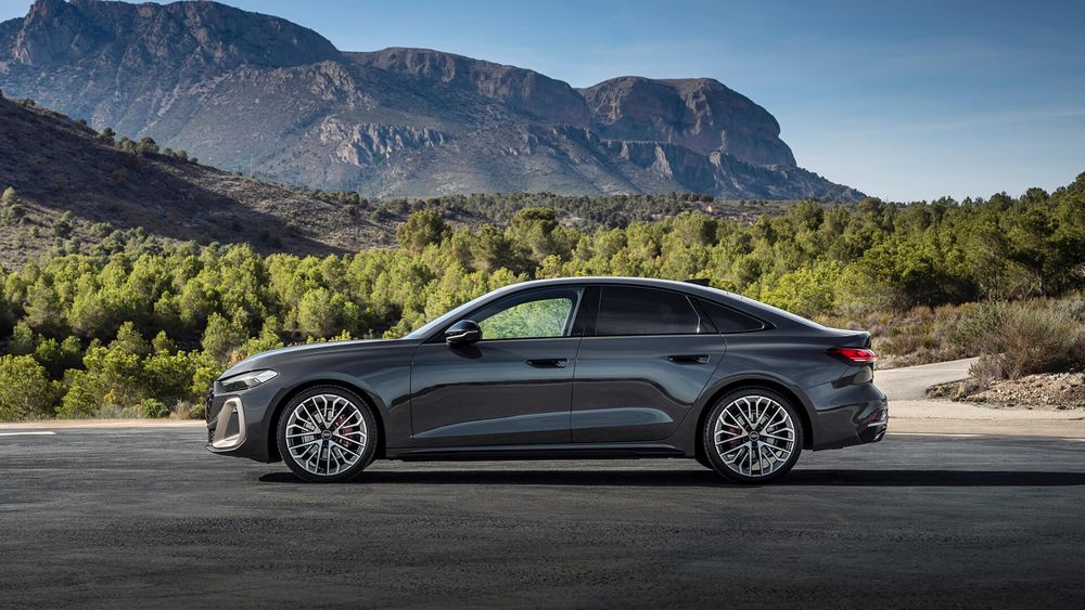 Zdjecie w galerii numer 3