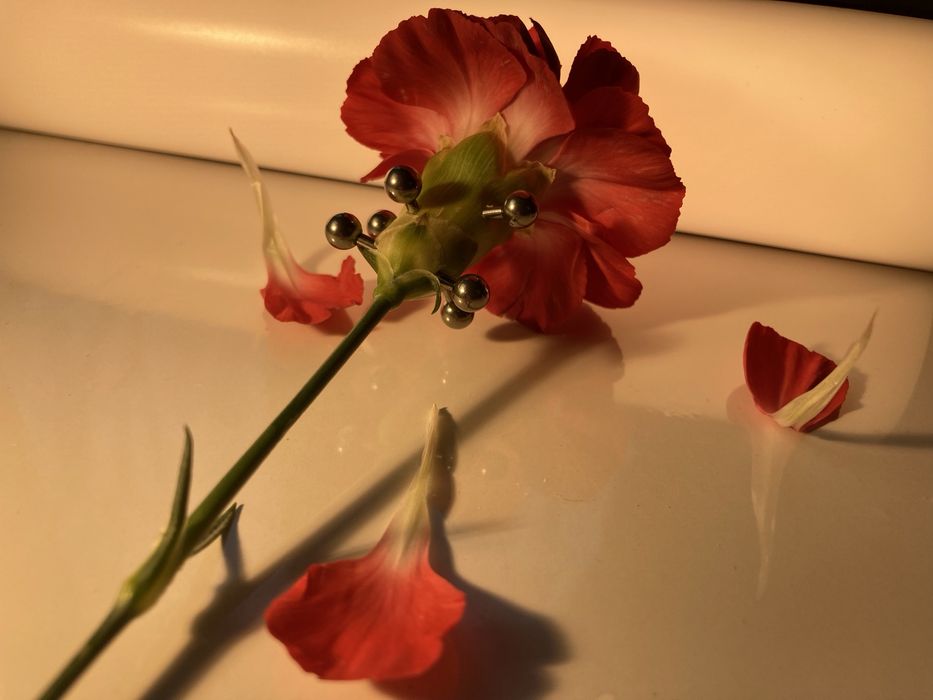 Kolczyk sztanga tytanowa