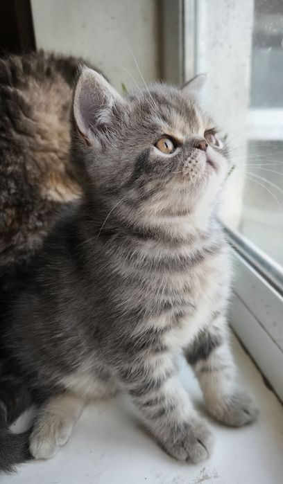 Мальчик красавчик