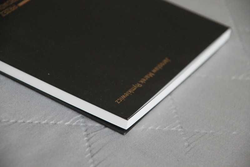 Jarosław Marek Rymkiewicz, Przez zwierciadło