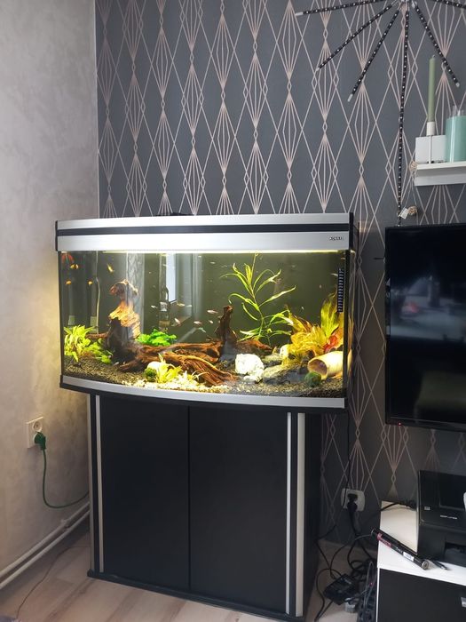 Akwarium 200 L panoramiczne AQUAEL