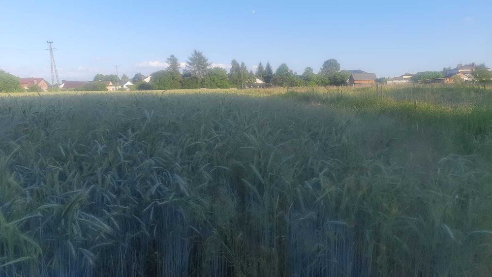Działka budowlana 2500 m² z Warunkami Zabudowy! Lubaczów,  ul. Chabrowa