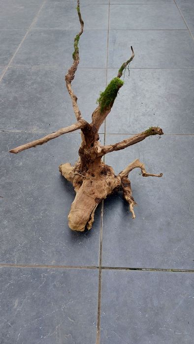 3 troncos aquário Red Wood