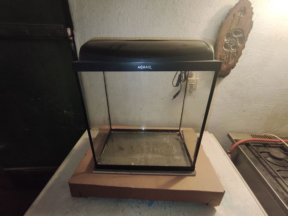 Akwarium Aquael 40 x 20 x 40 z oświetleniem
