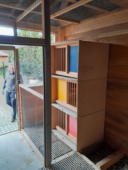 Cele lęgowe dla gołębi z rusztem - największe!!!