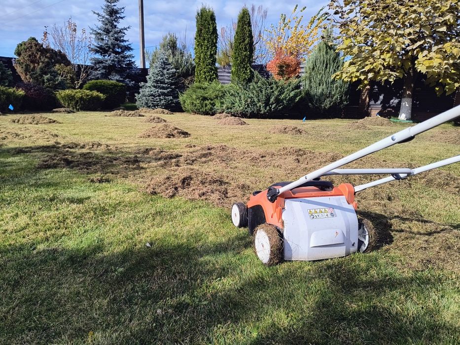 Послуги садівника, догляд за газоном, скарифікація, Піскування, чистка туй, стрижка рослин