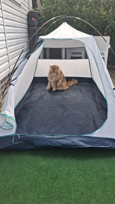 QUECHUA Tenda de campismo 2 lugares, MH100