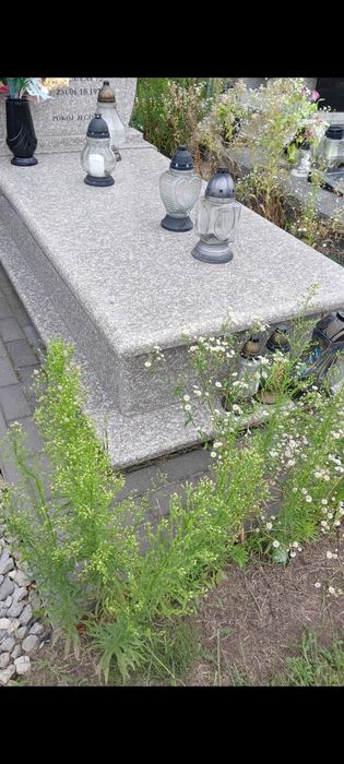Sprzątanie grobów, opieka nad grobem, wiązanki,stroik