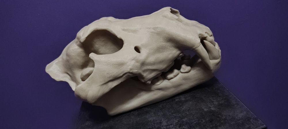 Czaszka lwa wydruk 3d ozdoba