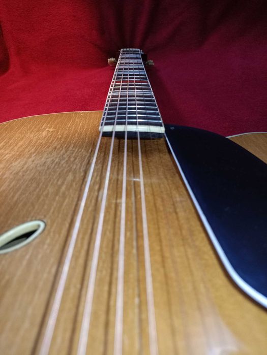 Gitara Neubauer Archtop Natur (lat 1960x)