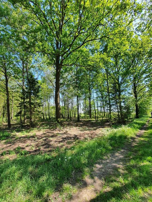 Działka  1500 m2  W.Z.