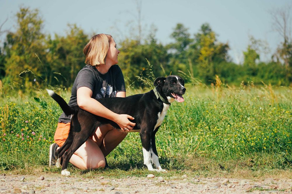 Terenia - śliczna sunia szuka domu