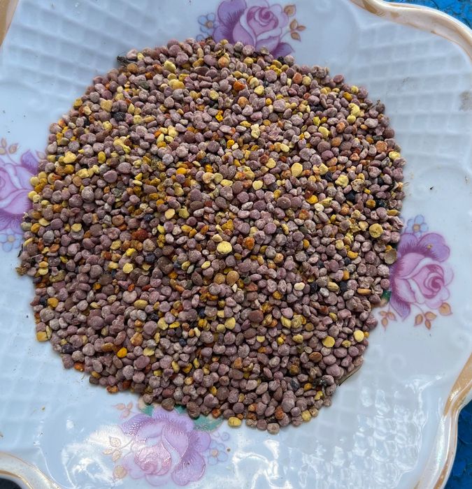 Пилок, пилок бджолиний, пилок лавандовий та з трав, збір 2025 року